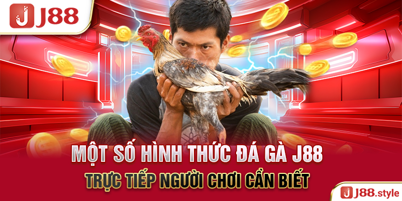 Một số hình thức đá gà J88 trực tiếp người chơi cần biết